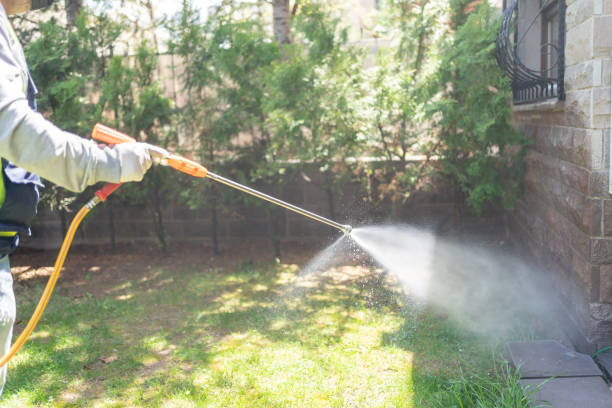 Best Outdoor Pest Control  in Edgemoor, DE